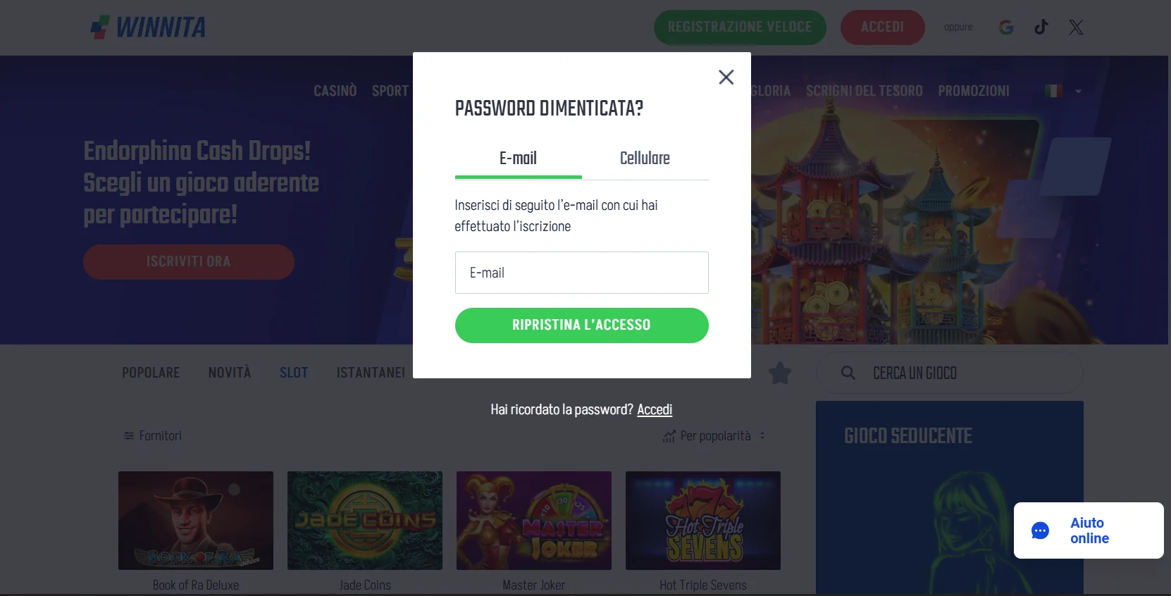 Recupero password Winnita login: reimpostazione via email o SMS Recupero password Winnita login tramite email o SMS